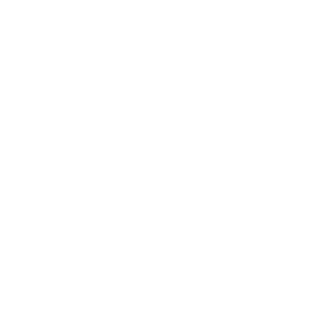 Mid Cap Fund 2 Mid Cap Fund