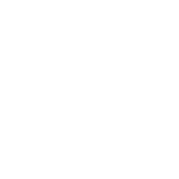 Mid Cap Fund 4 Mid Cap Fund